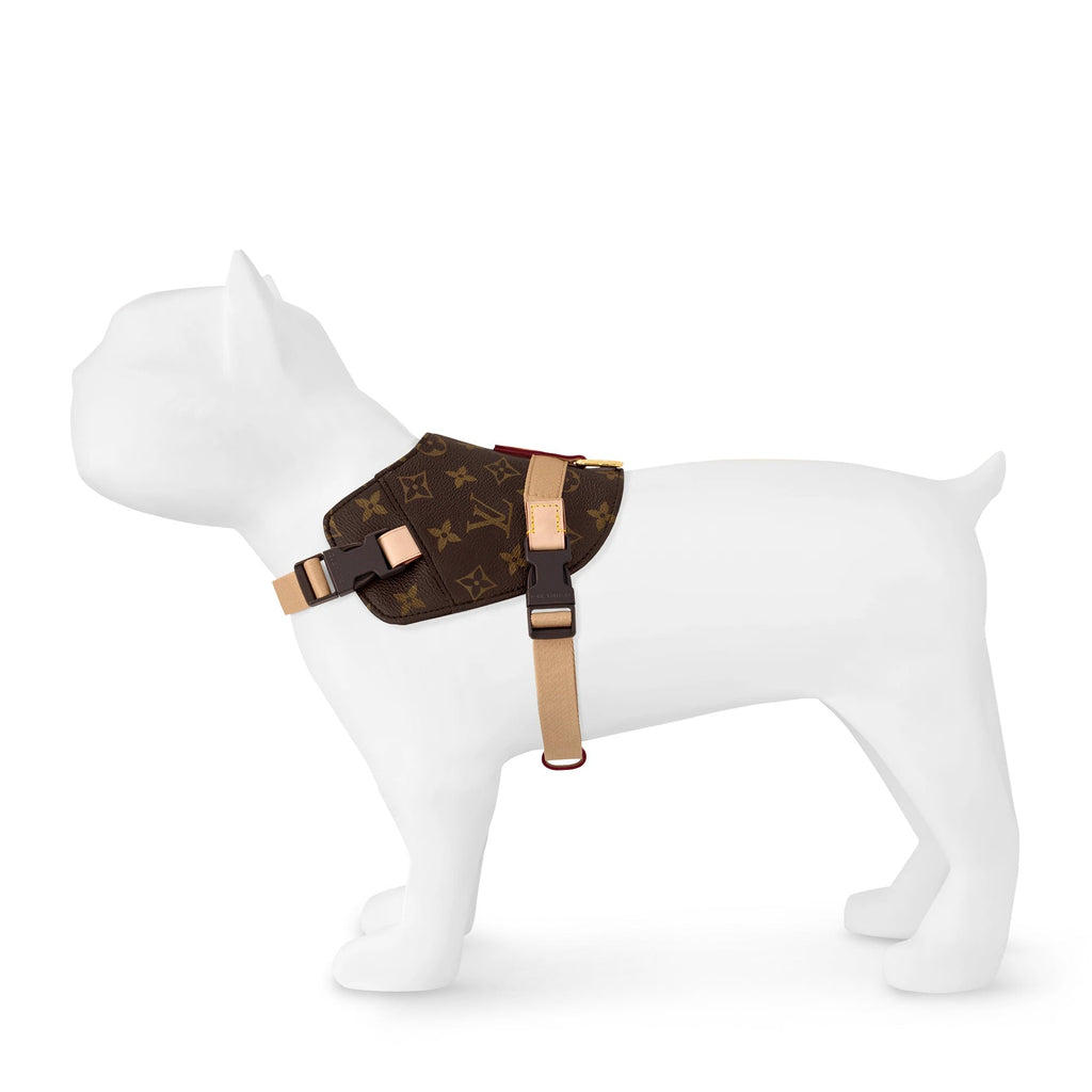 Harness MM