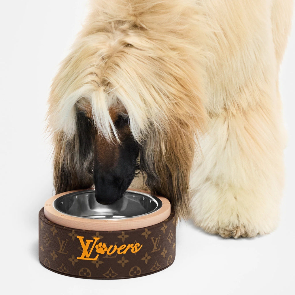 Dog Bowl