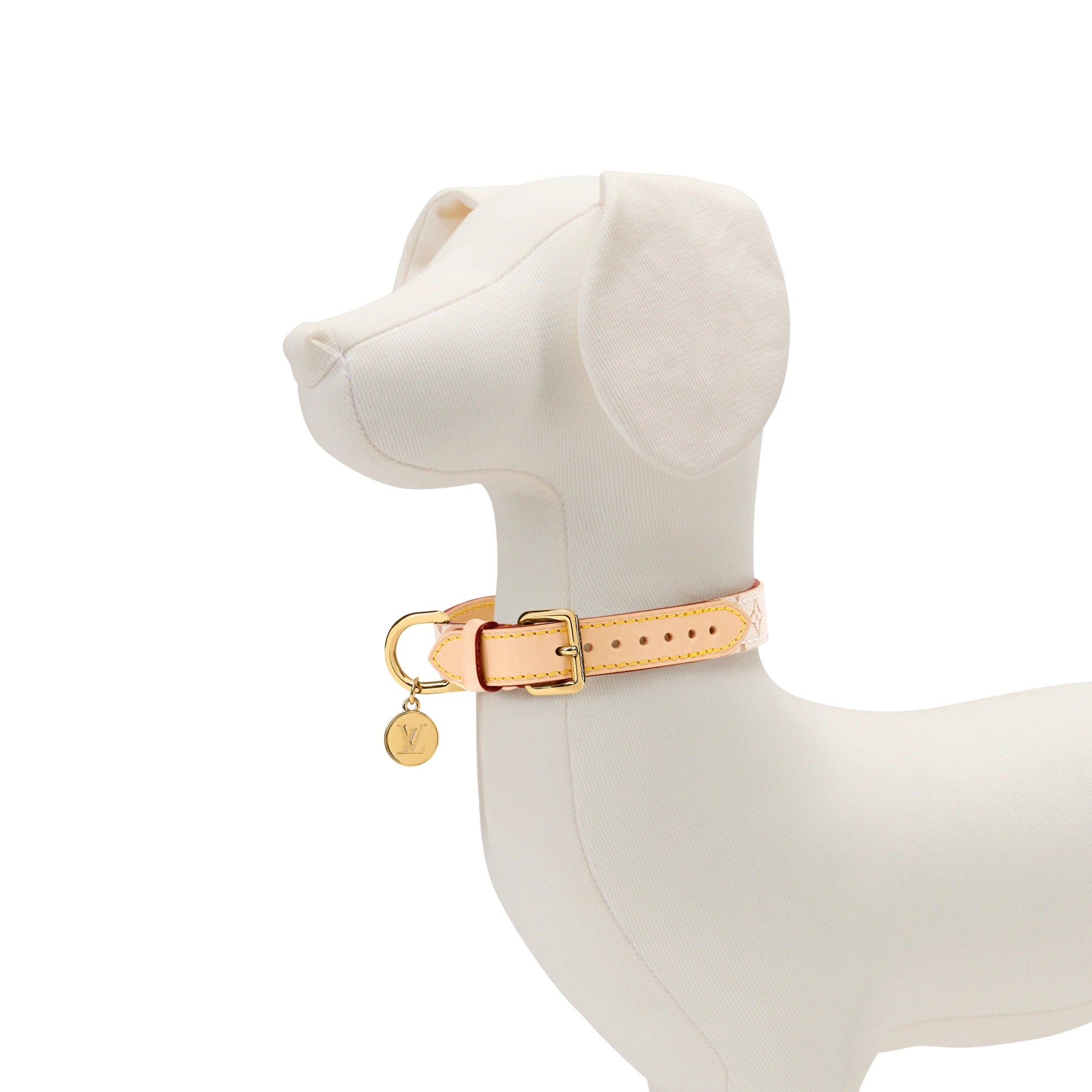 Dog Collar XS