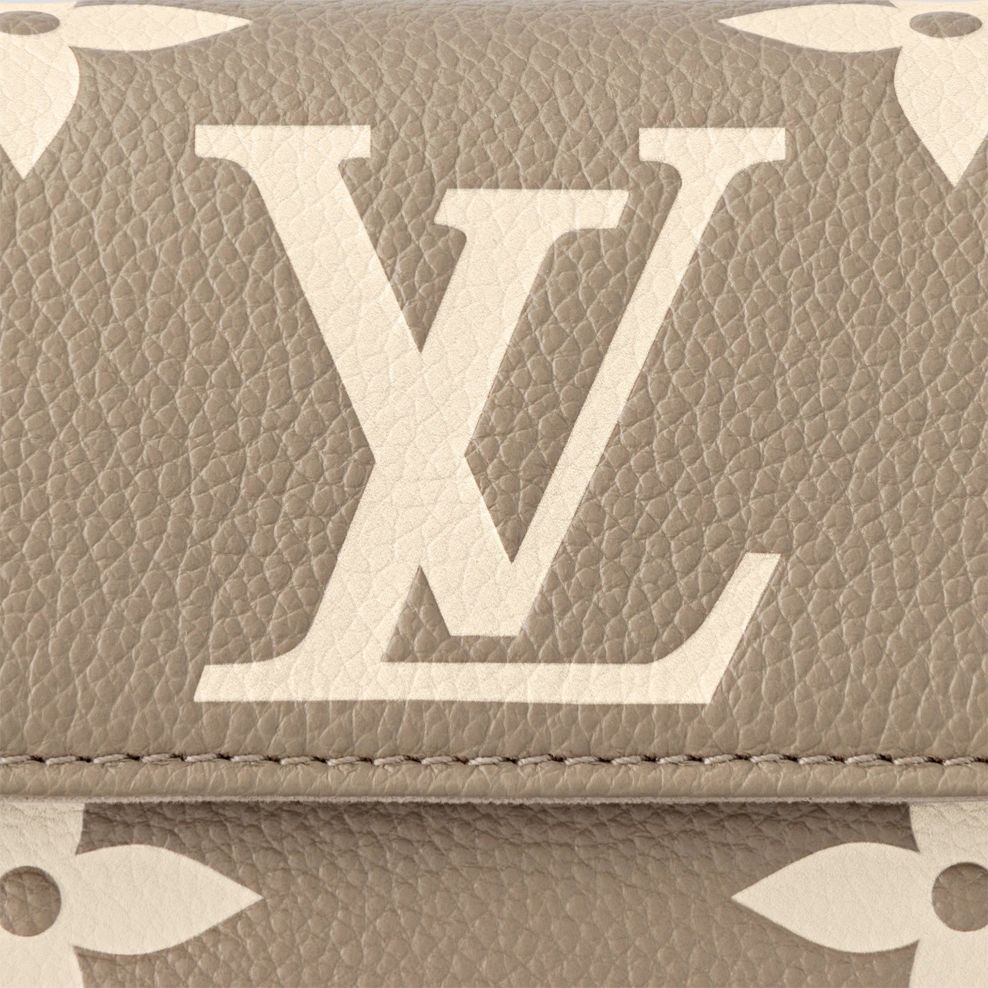 Wallet On Chain Ivy