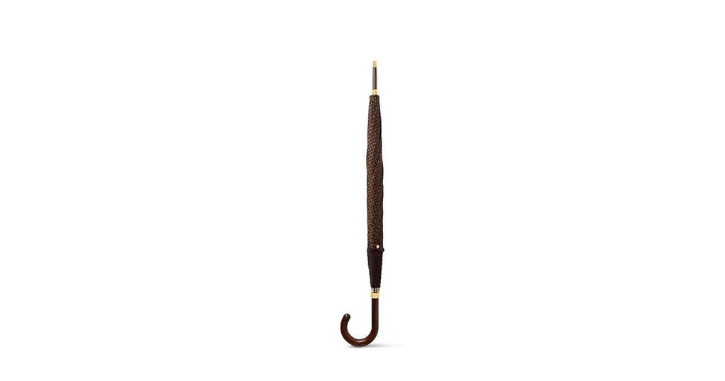 Louis Vuitton Umbrella
