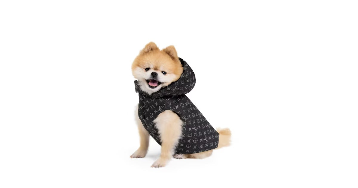 Dog Puffer Jacket XS