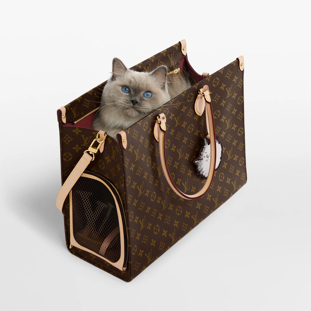 OnTheGo Cat
