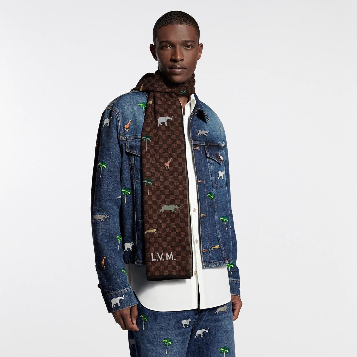 LV x The Darjeling Limited Damier Stole