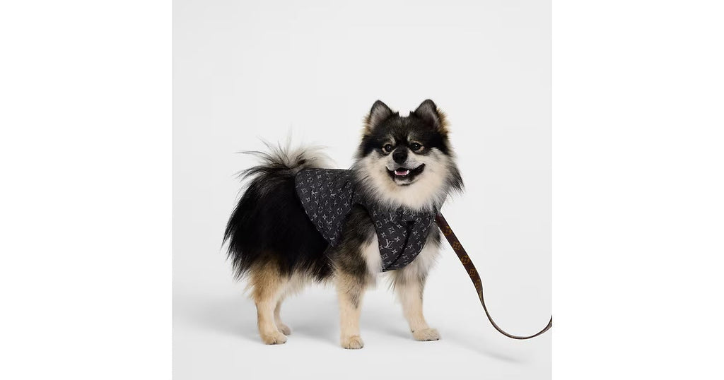 Dog Puffer Jacket PM