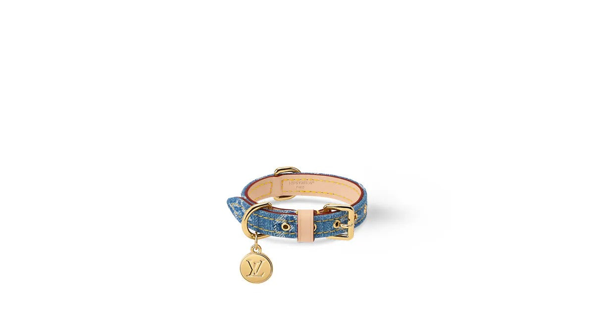 Dog Collar XS
