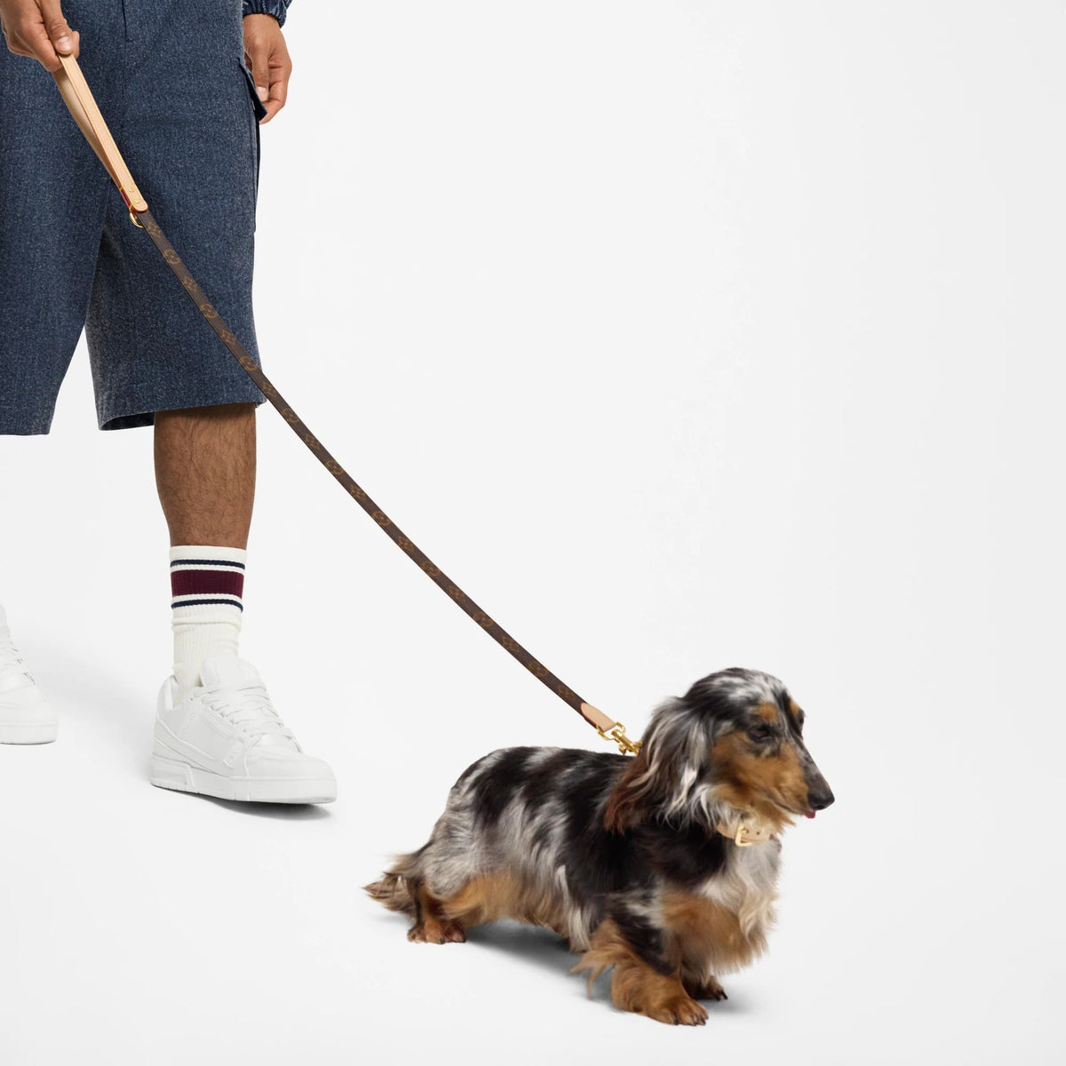 Dog Leash PM