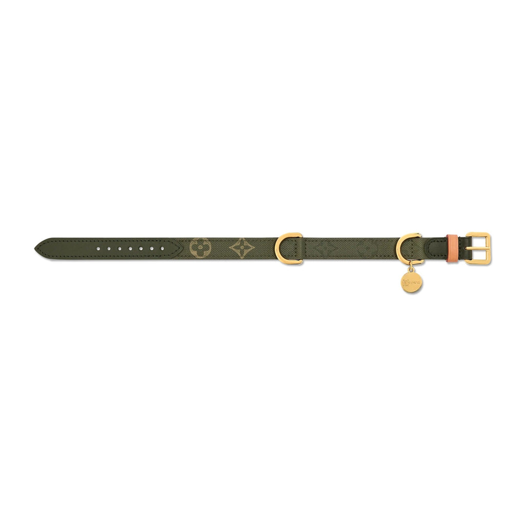 Dog Collar PM