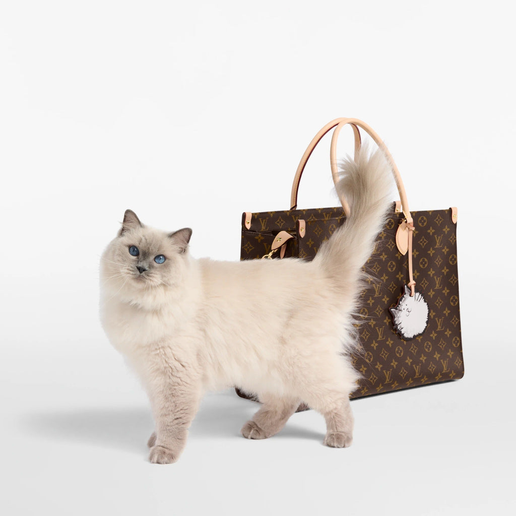 OnTheGo Cat