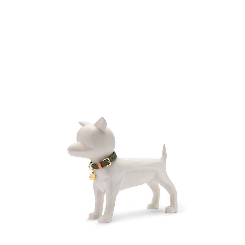Dog Collar XS