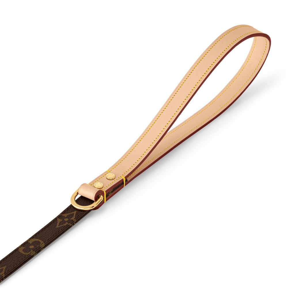 Dog Leash MM