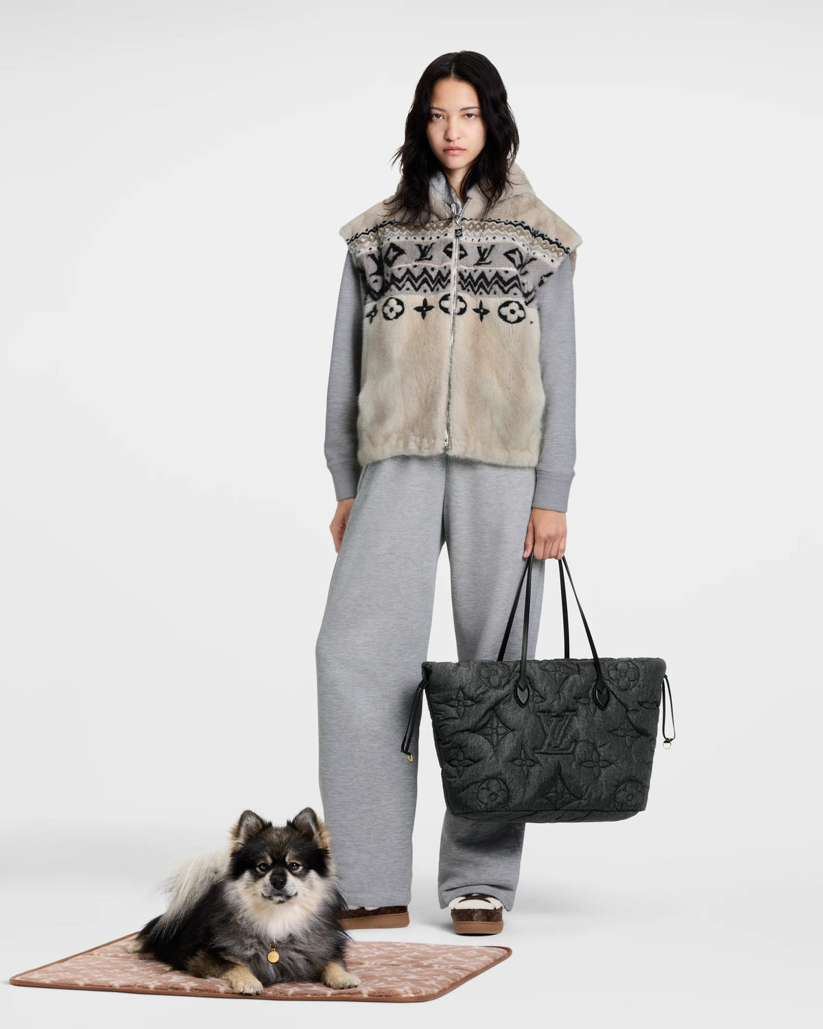 Travel Dog Carpet