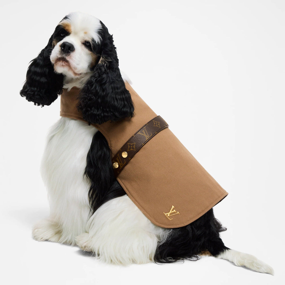 Waterproof dog coat MM