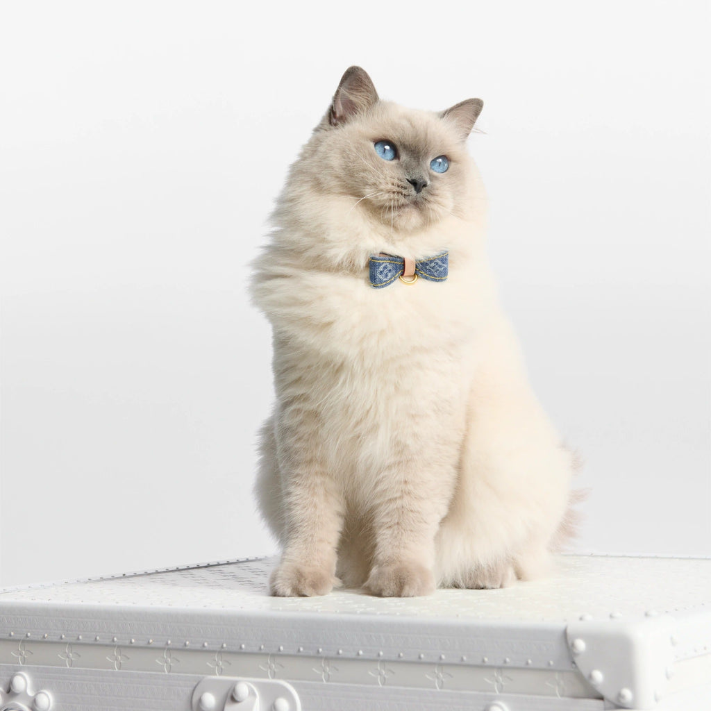 Cat Collar