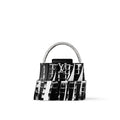 LV x FG Capucines BB Analog Bag