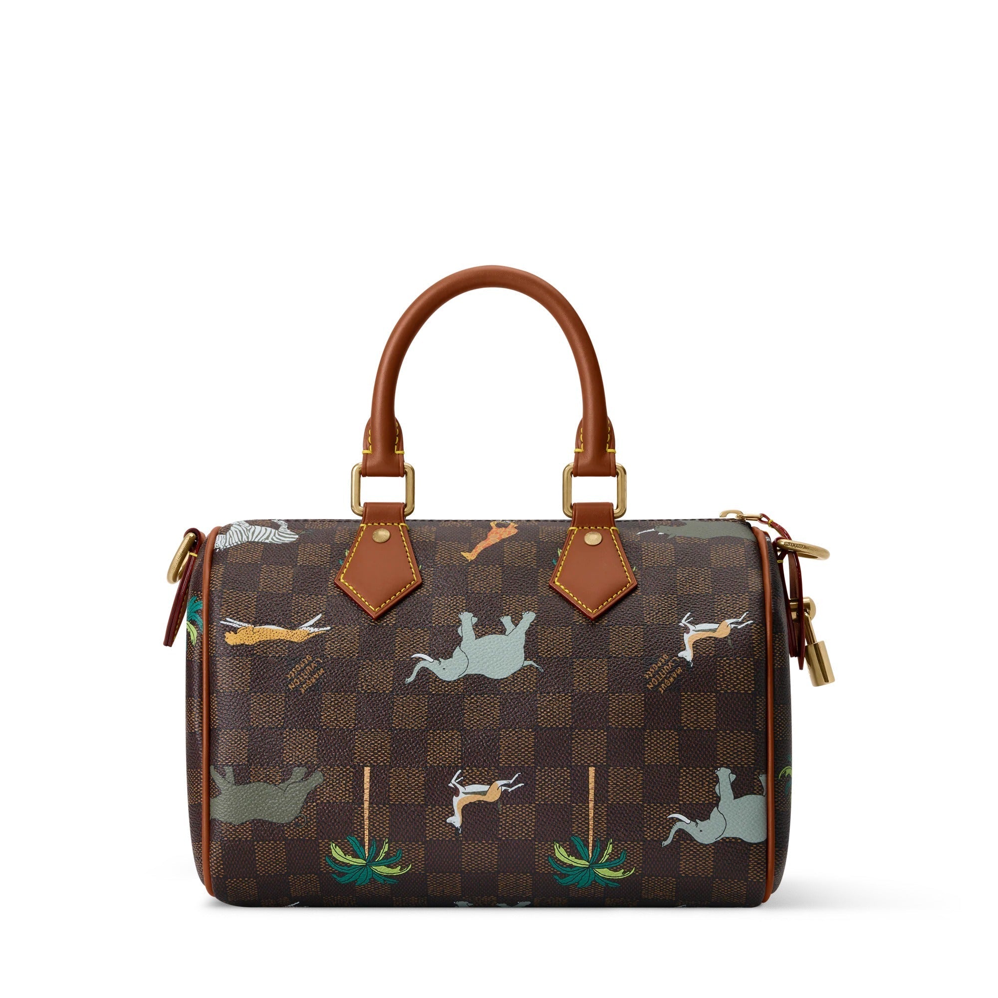 Speedy 25 Bandoulière x The Darjeeling Limited