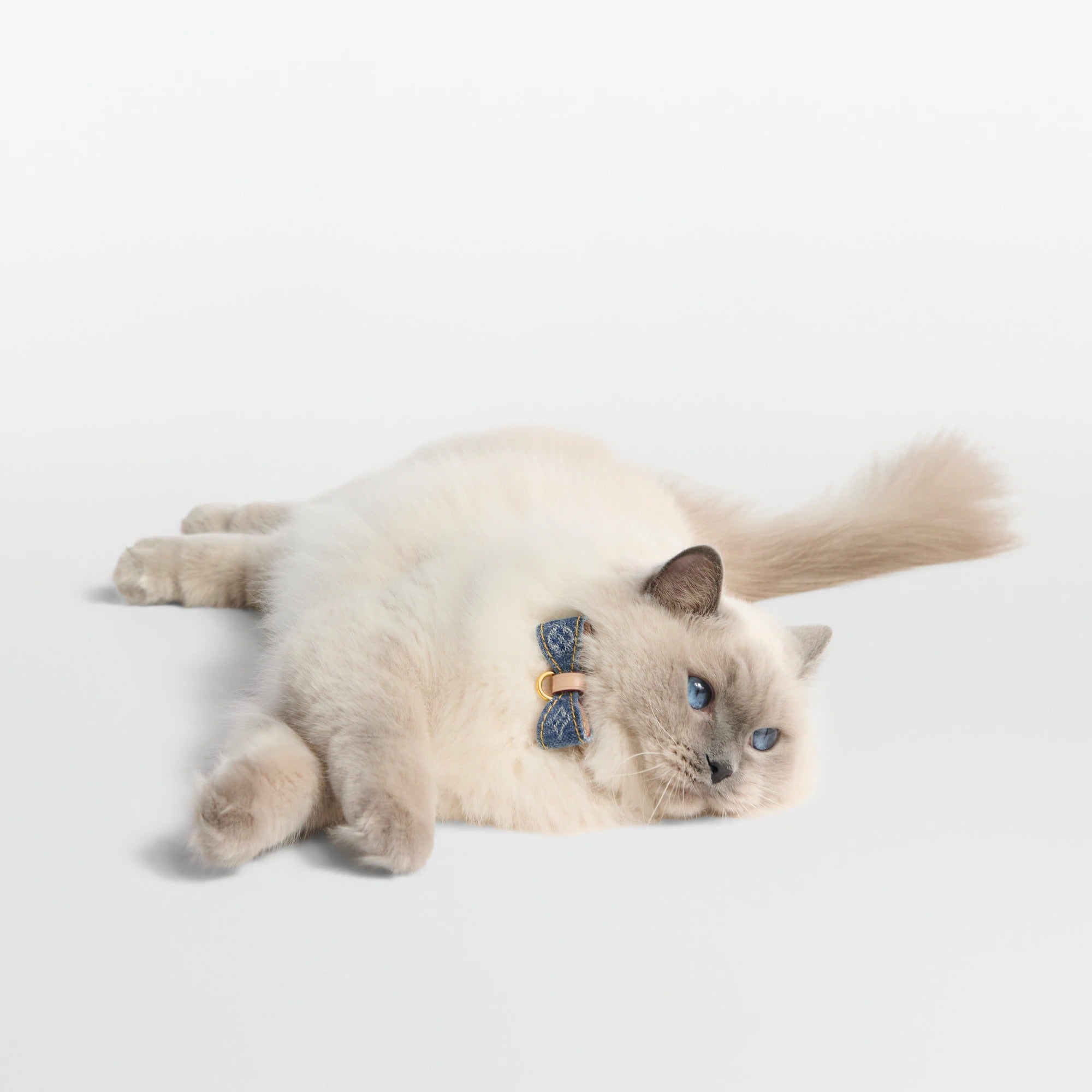 Cat Collar