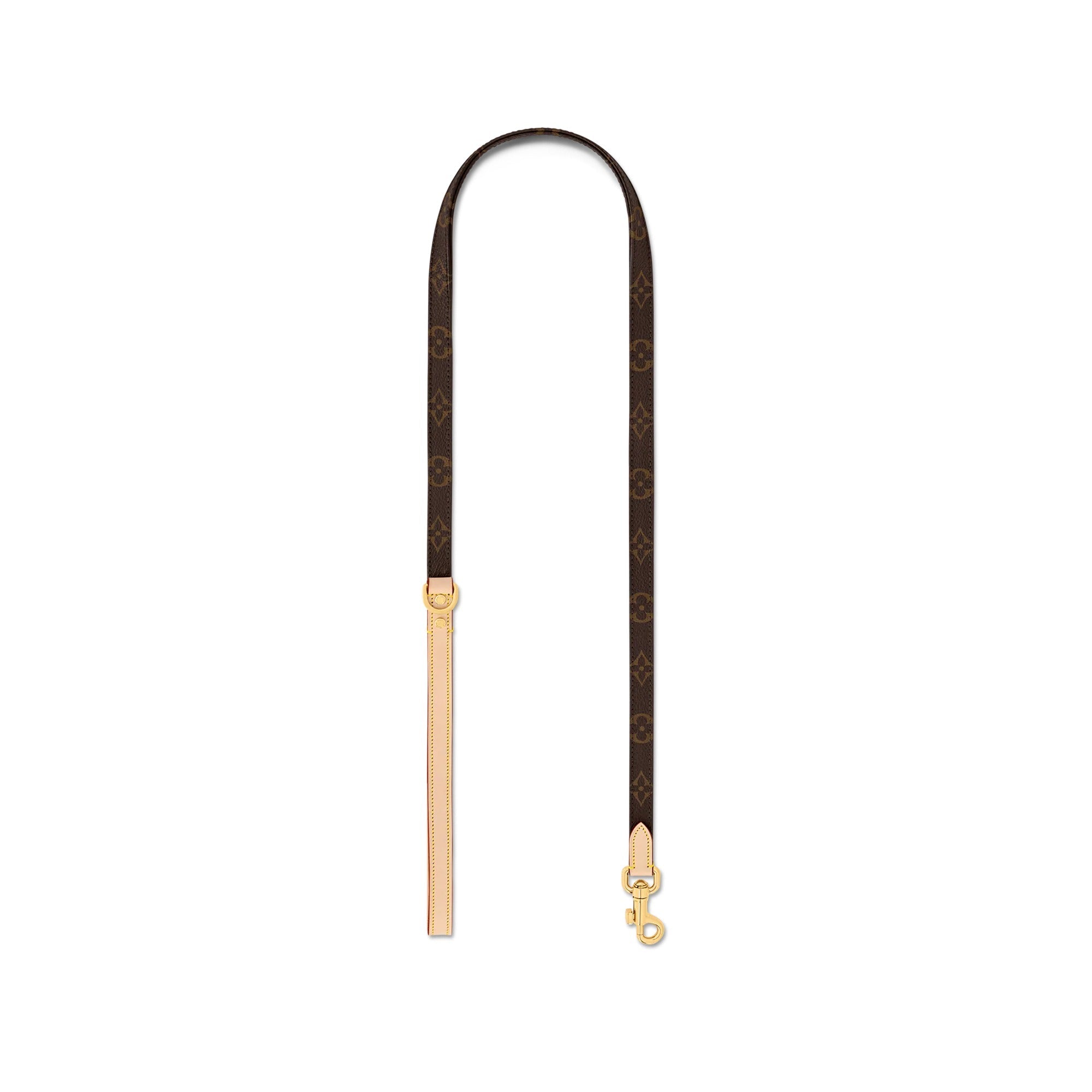 Dog Leash PM
