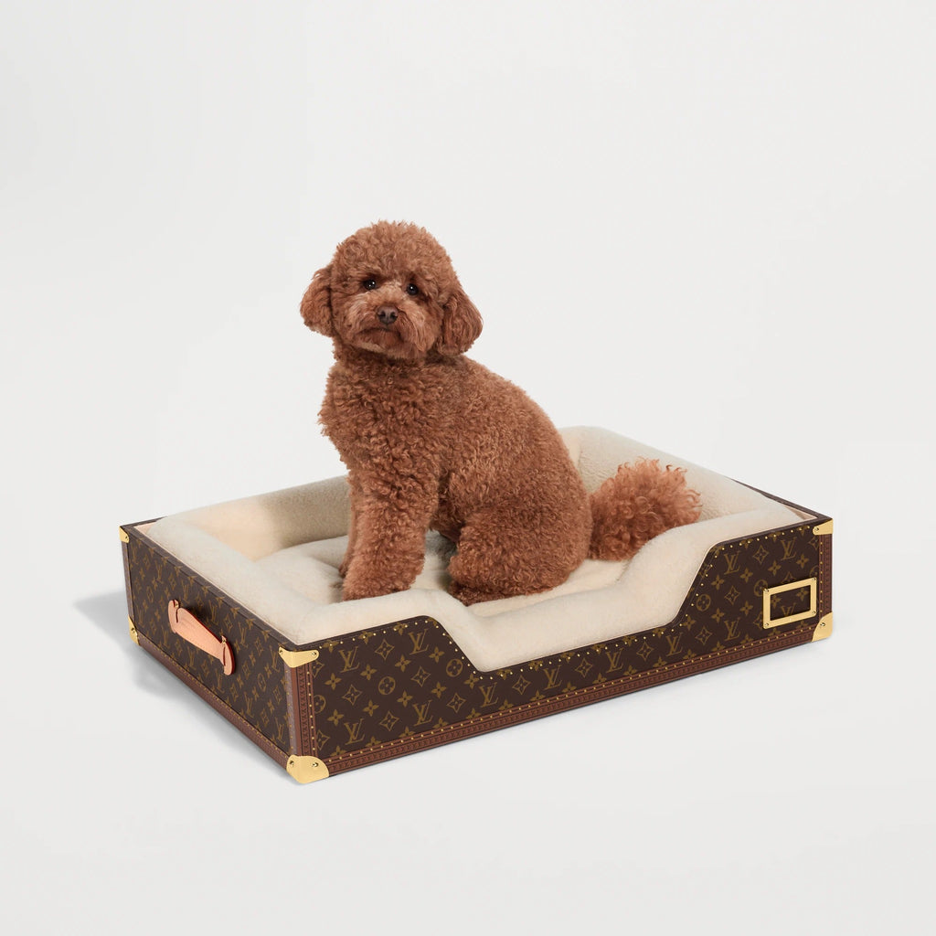 Dog Bed Trunk