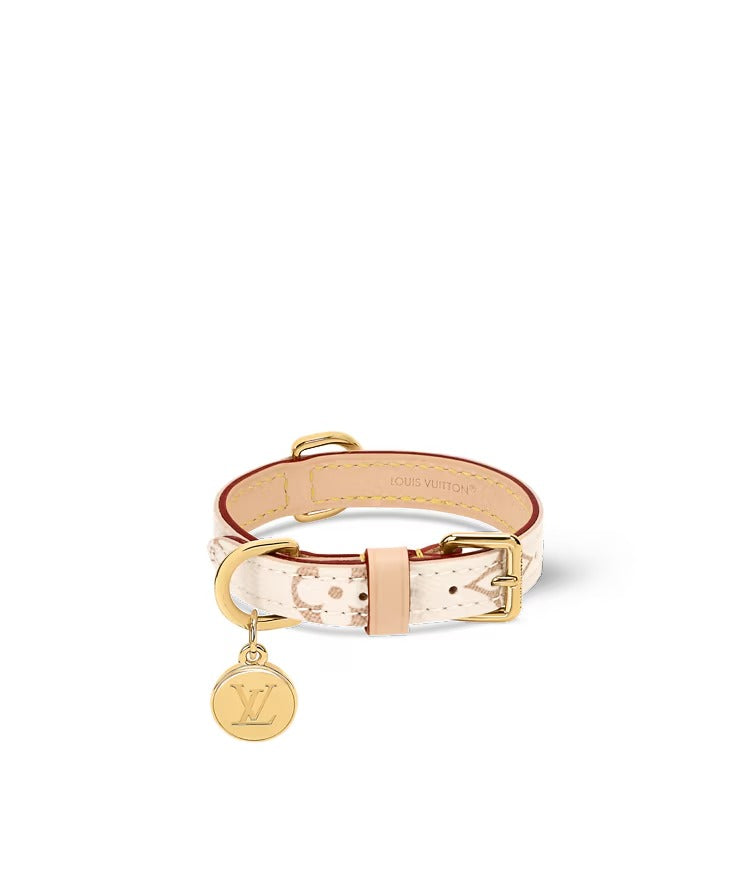 Dog Collar XS