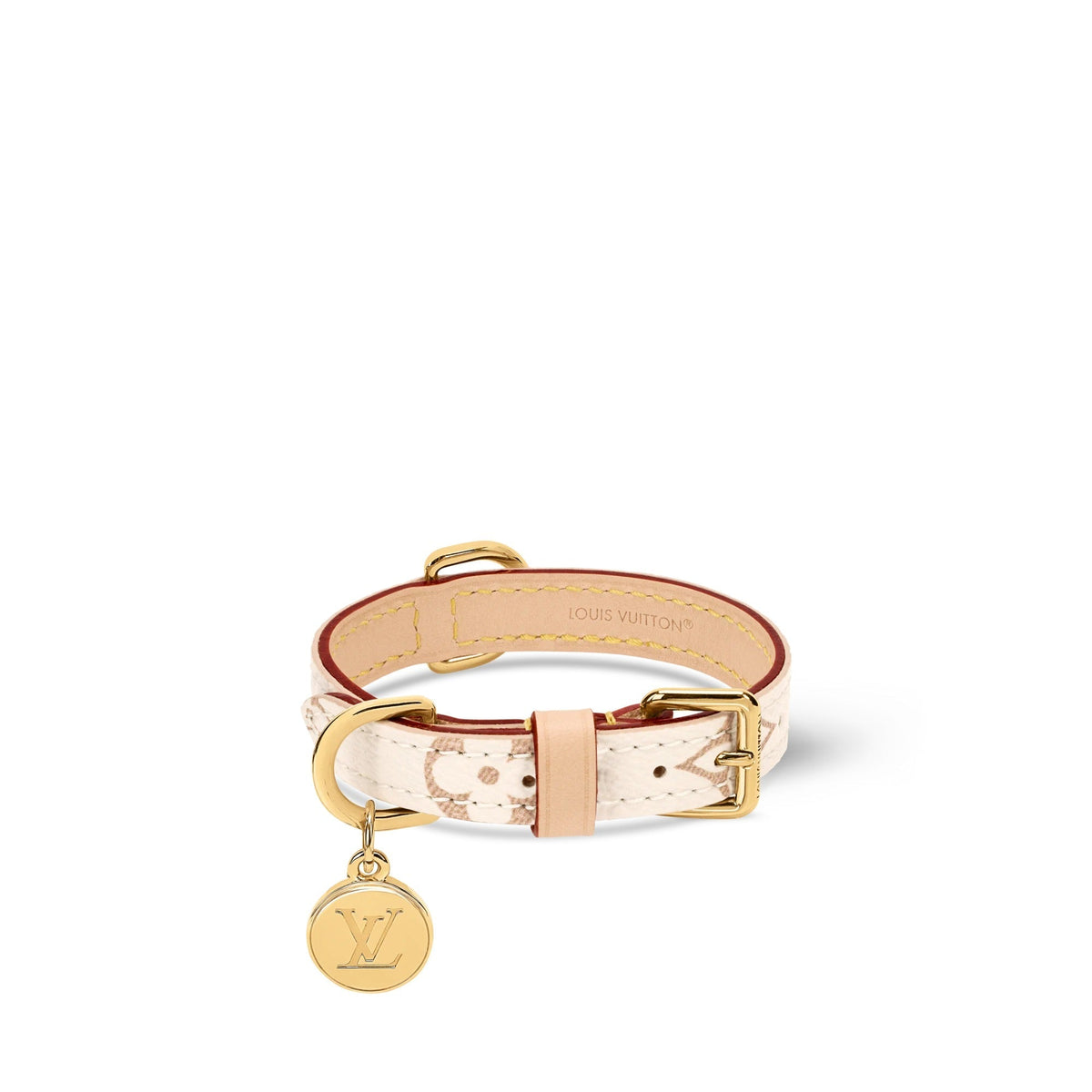 Dog Collar XS