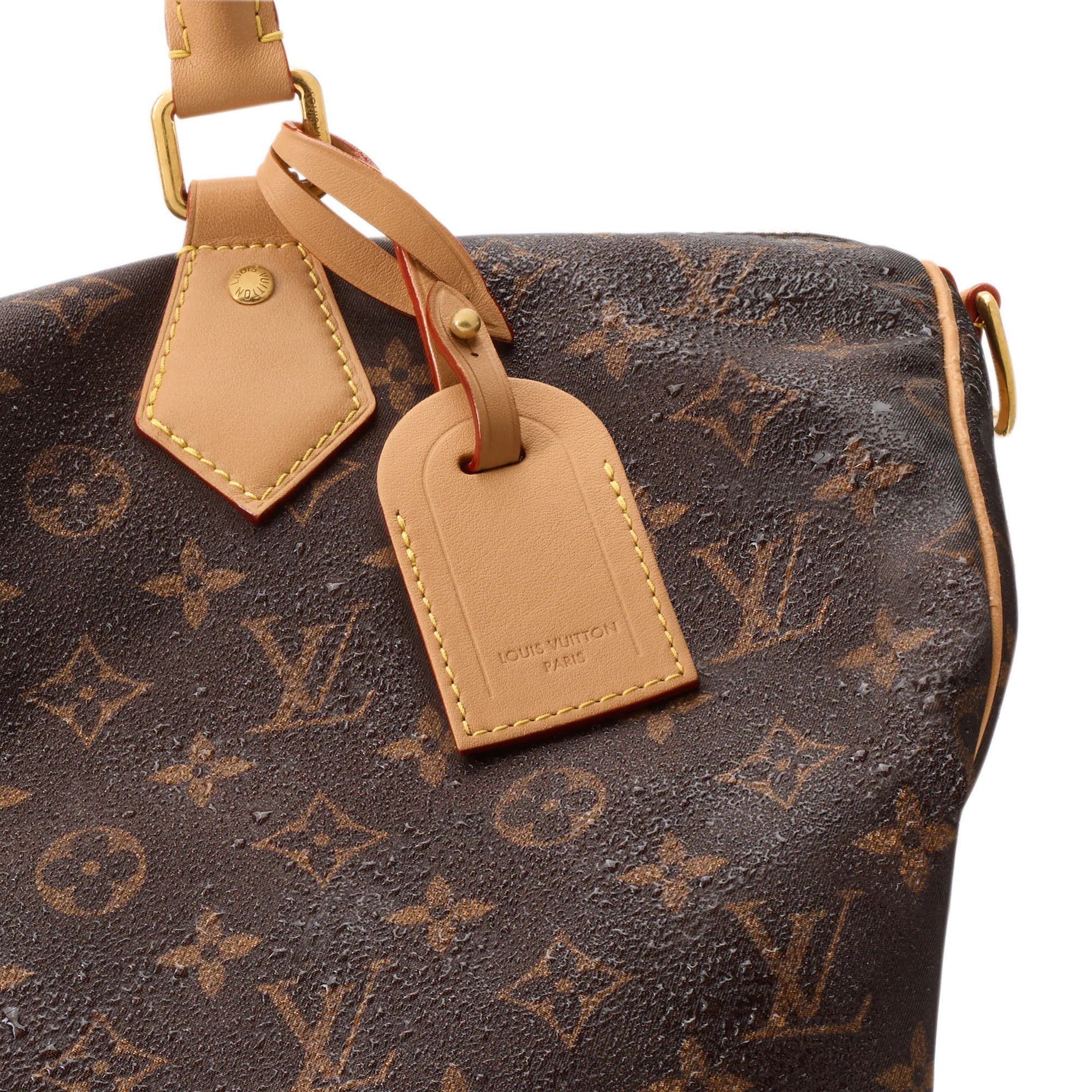 Speedy 40 Bandoulière Louis Vuitton Silk Tech