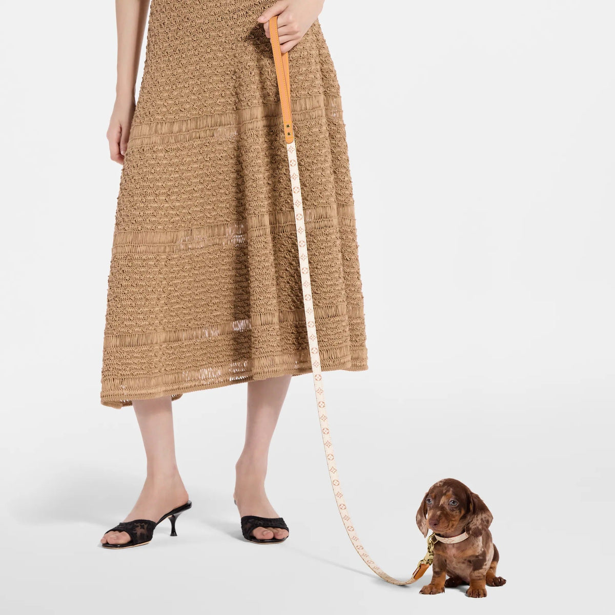 Dog Leash MM MNG Dune