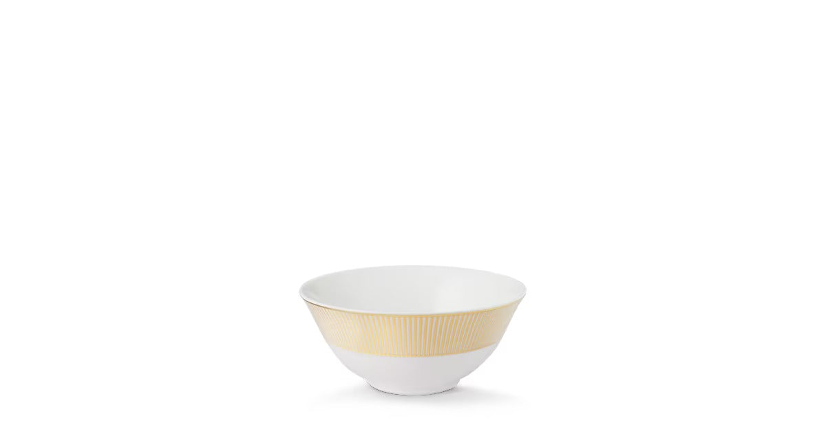 Splendor Set of 2 Rice Bowls