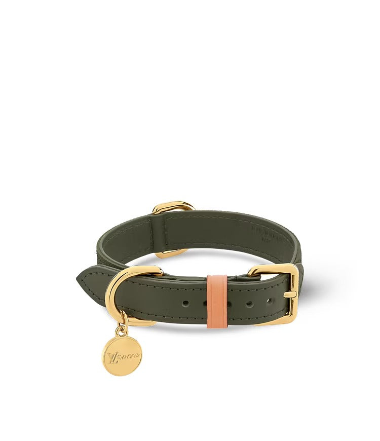 Dog Collar PM
