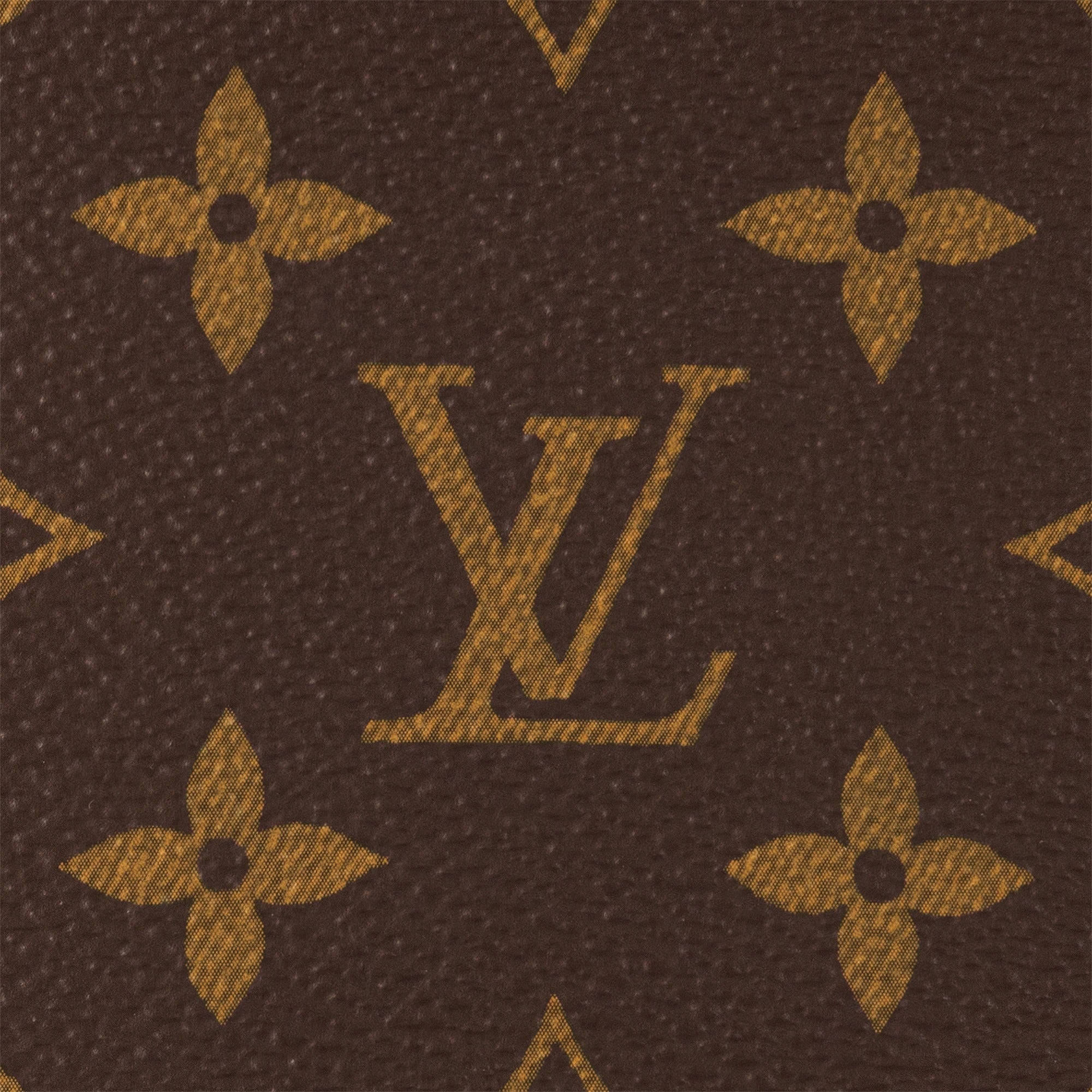 Wallet On Chain Ivy