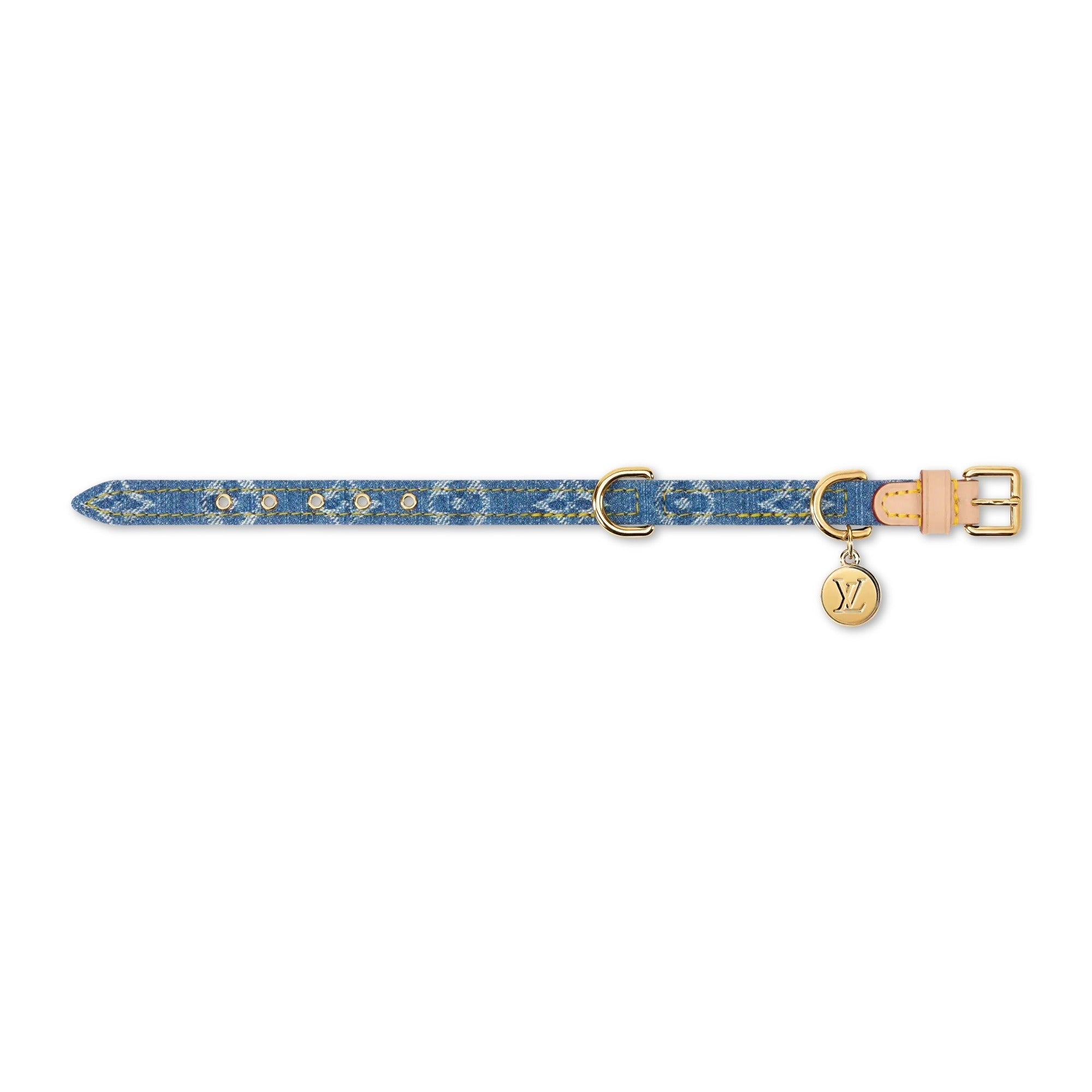 Dog Collar XS