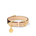 Dog Collar PM