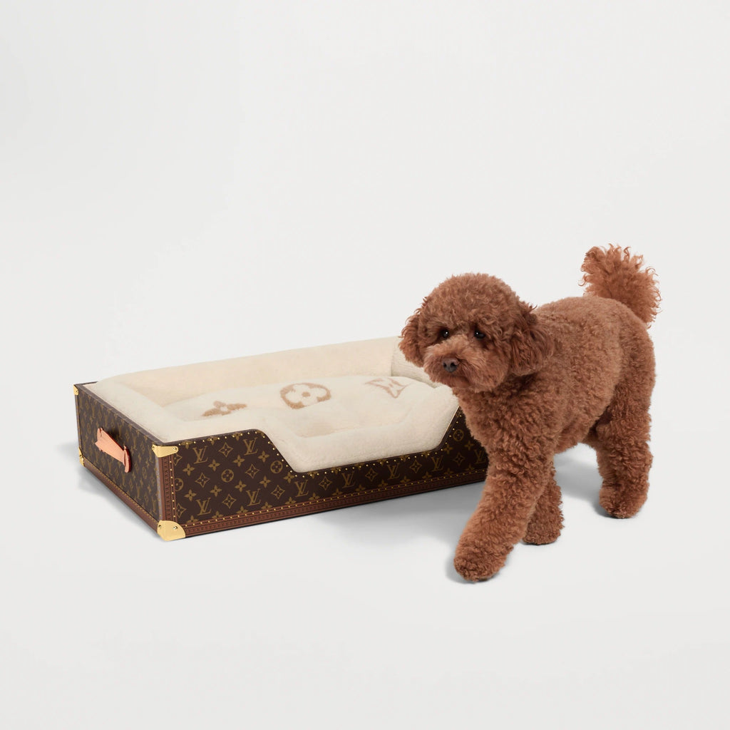 Dog Bed Trunk