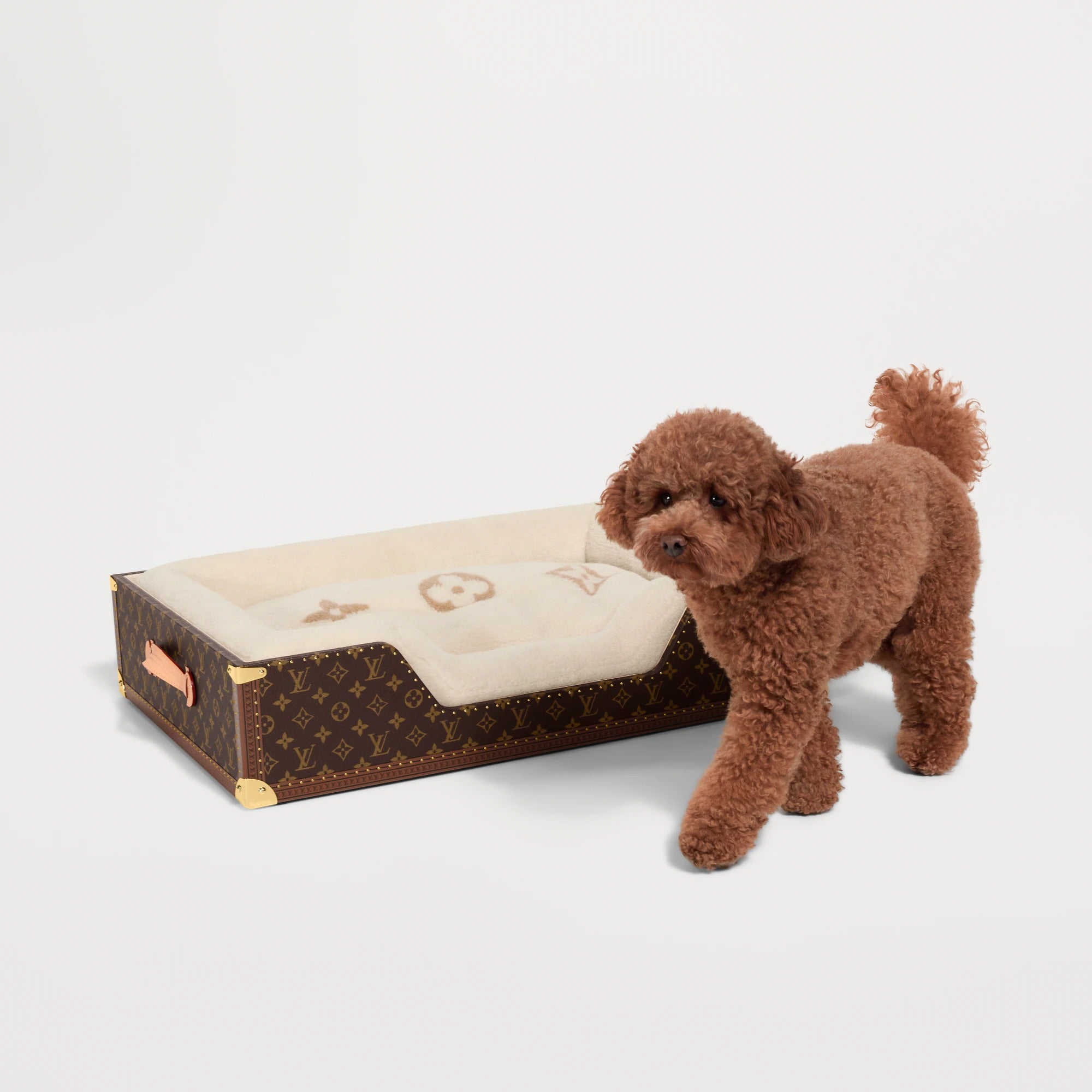 Dog Bed Trunk