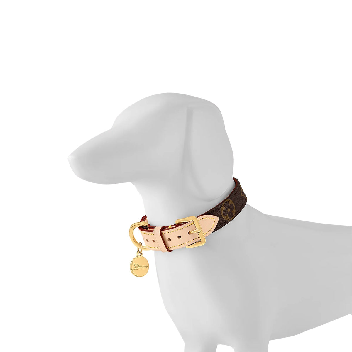 Dog Collar PM