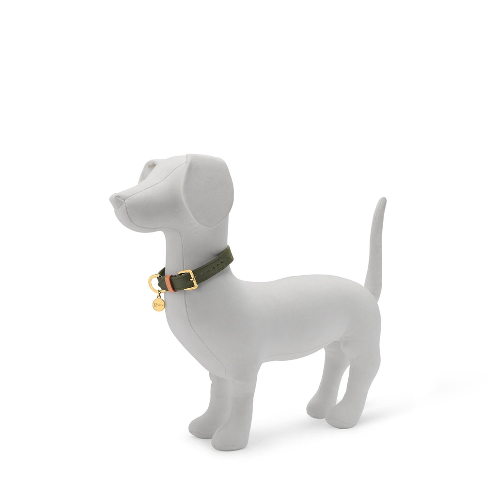 Dog Collar PM