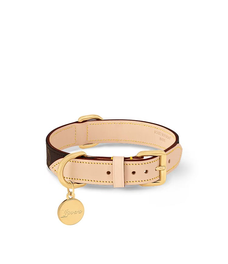 Dog Collar PM
