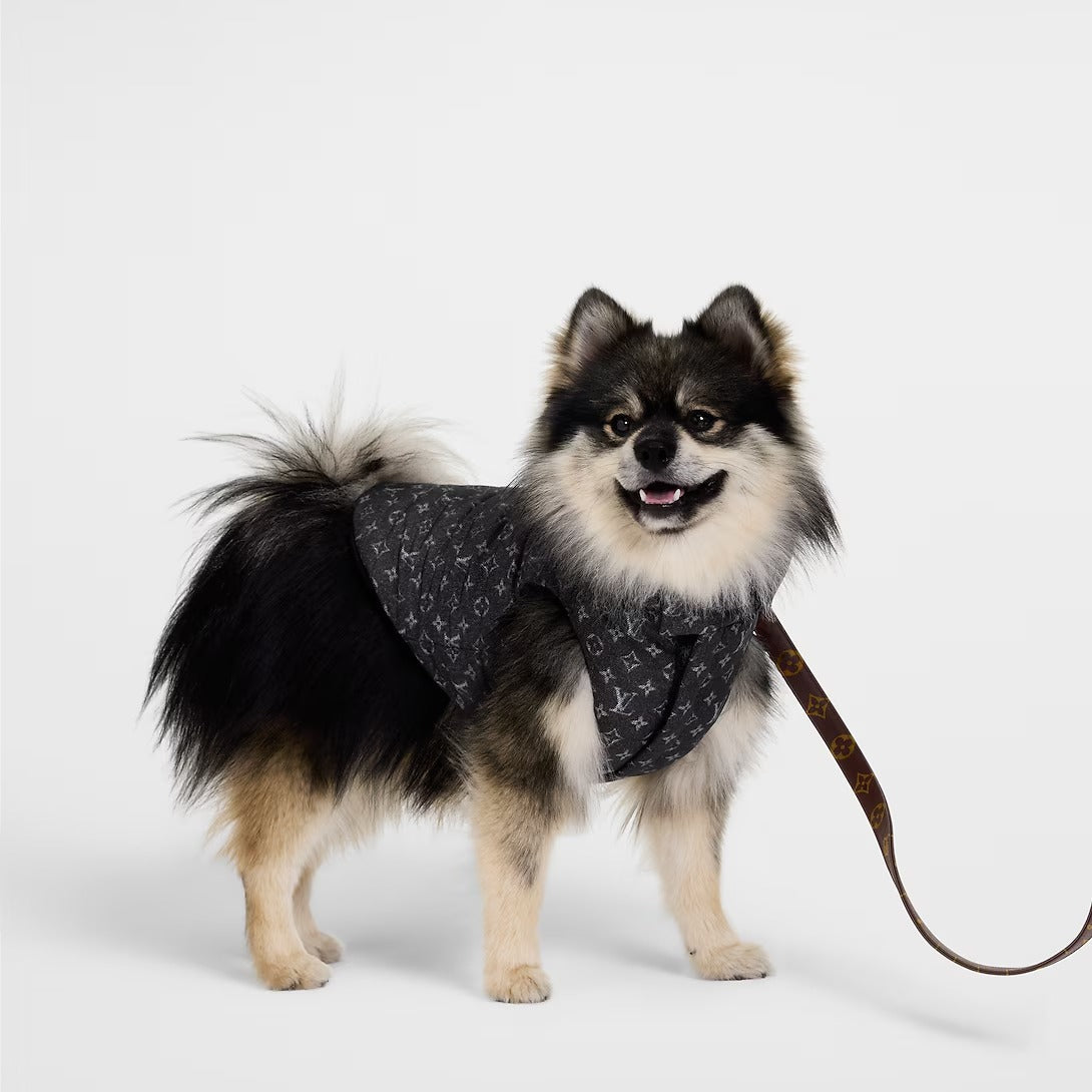 Dog Puffer Jacket PM
