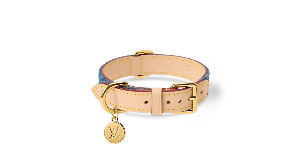 Dog Collar PM
