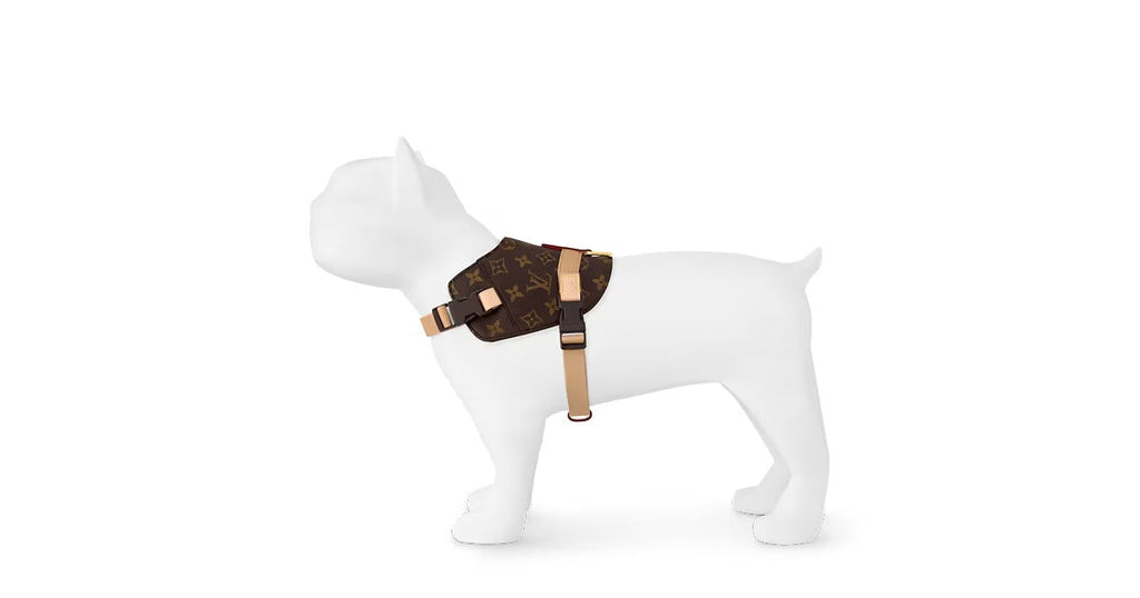 Harness MM