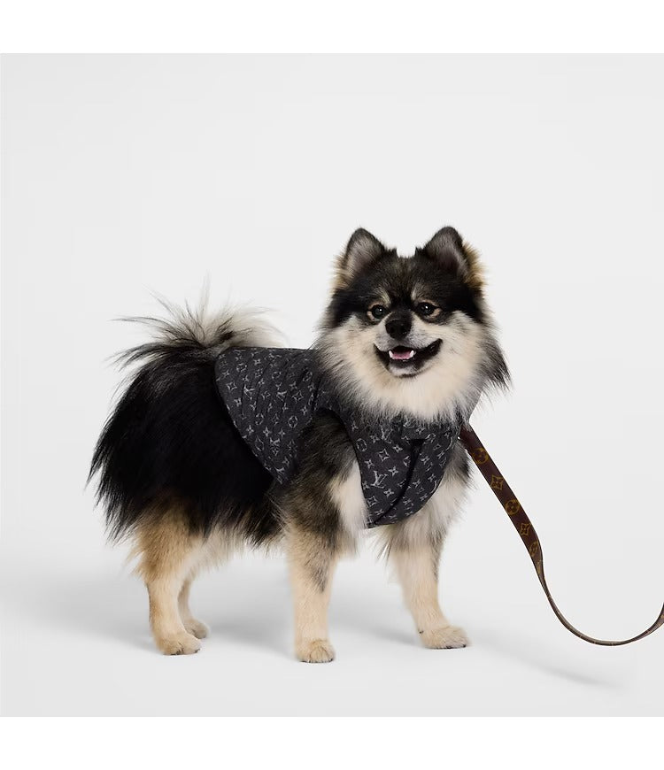 Dog Puffer Jacket PM