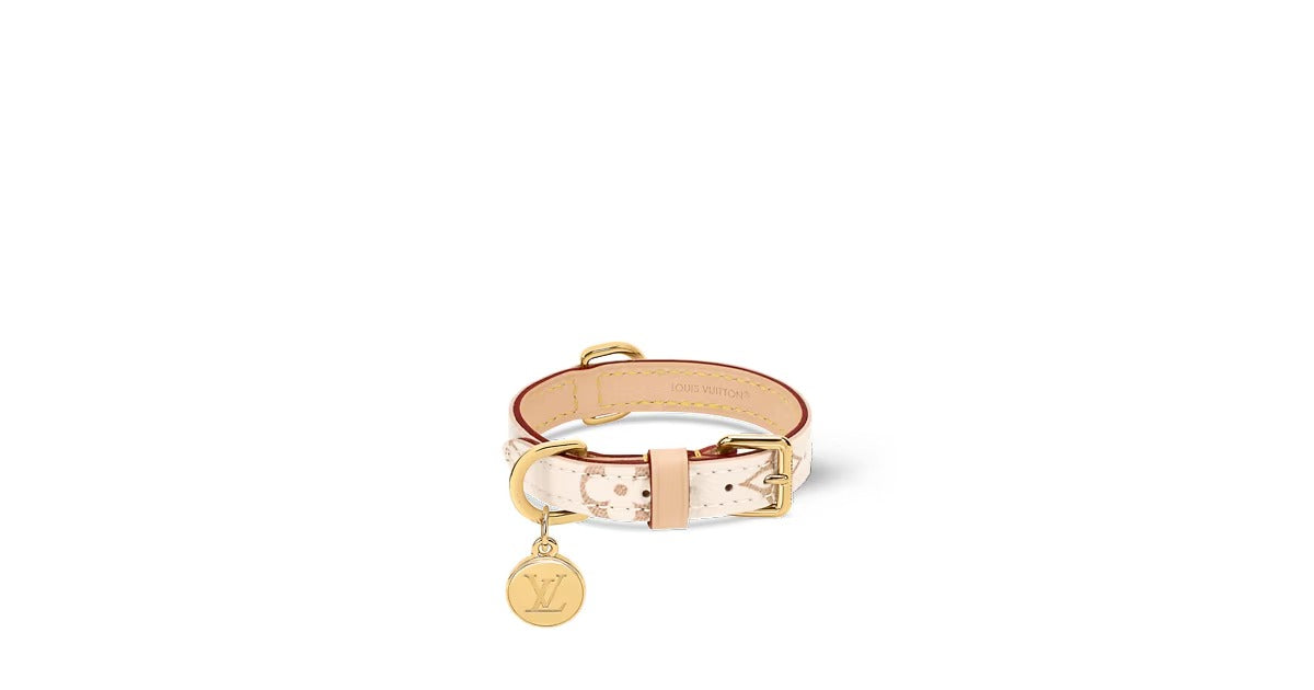 Dog Collar XS