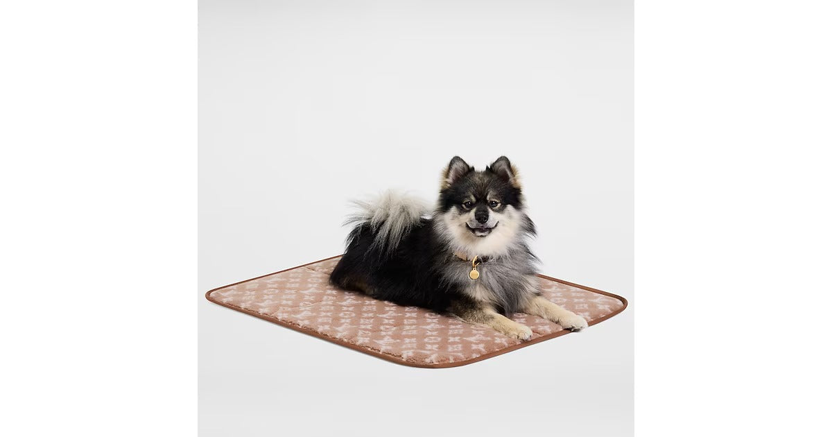 Travel Dog Carpet
