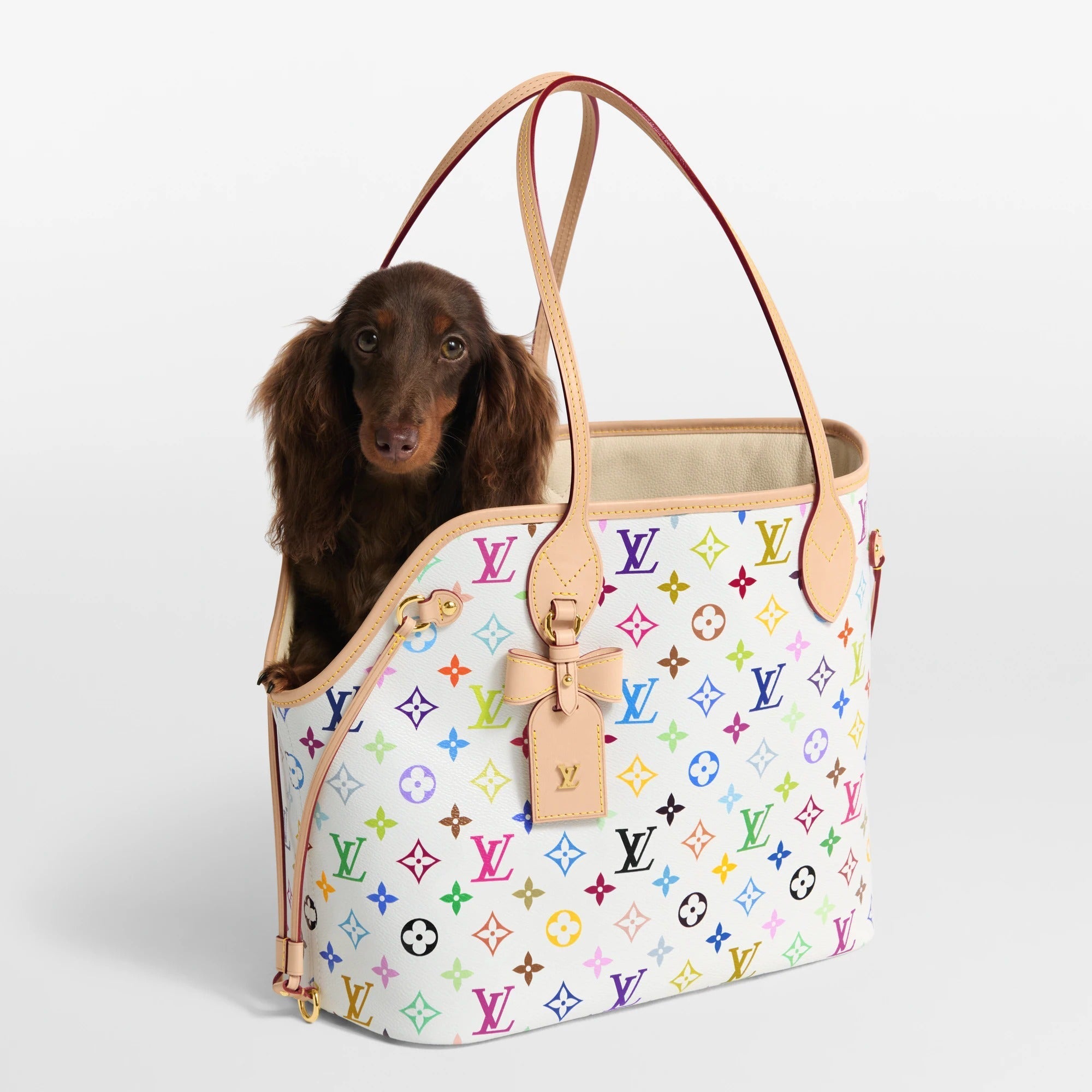LV x TM Neverwoof
