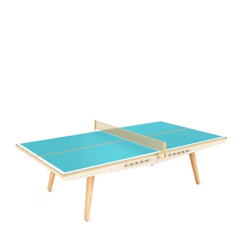 Ping-Pong Table Canvas professional size