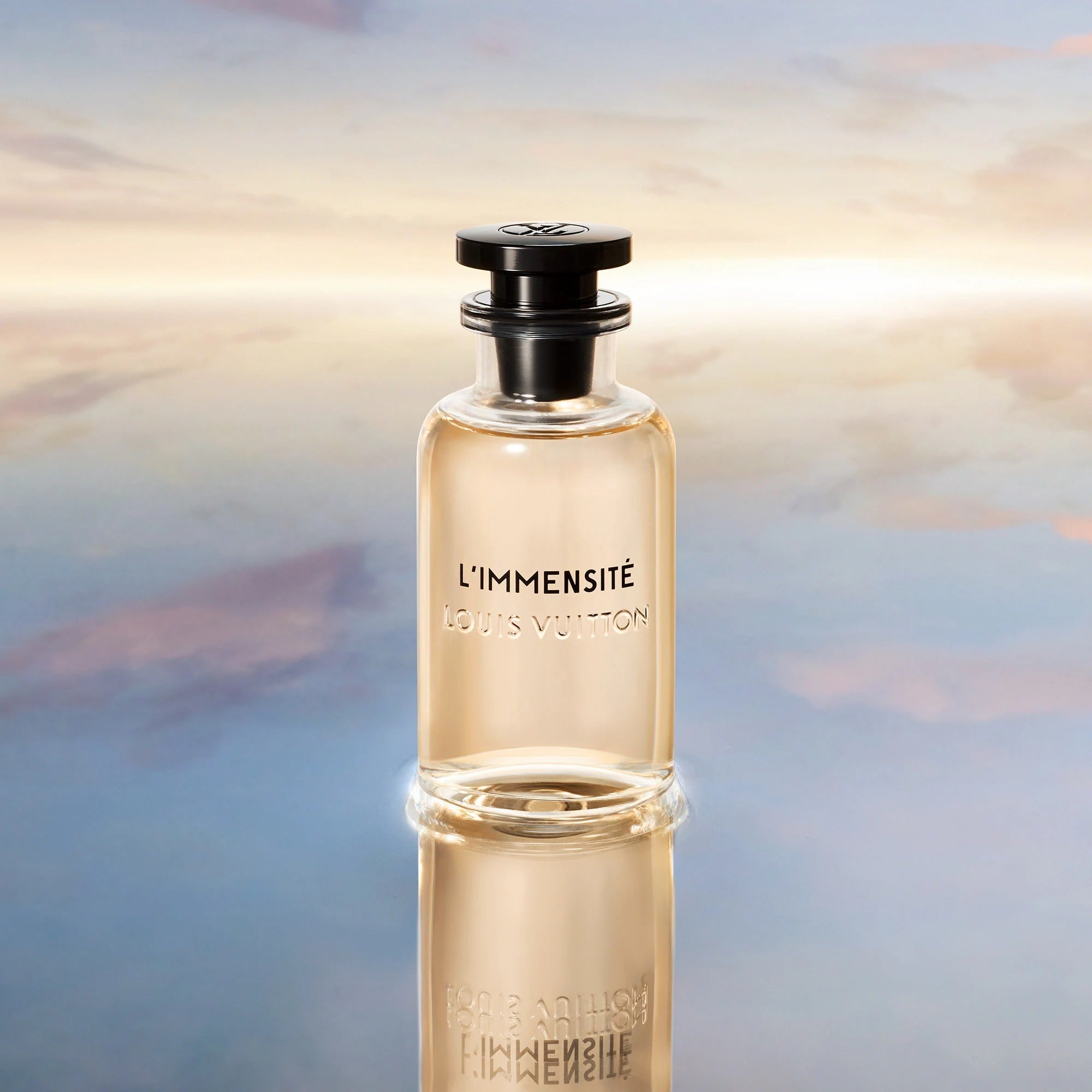 L'Immensité