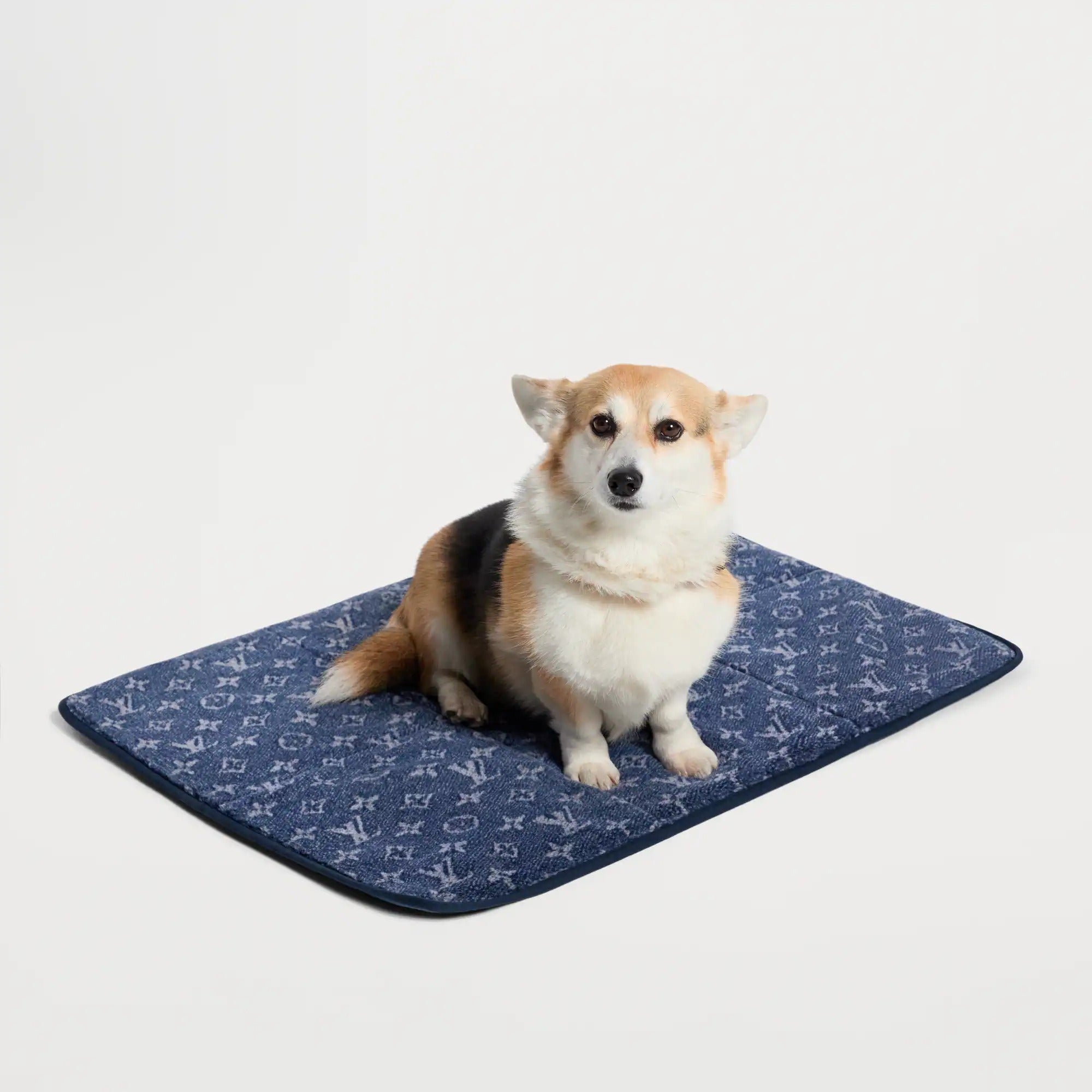 Travel Dog Carpet