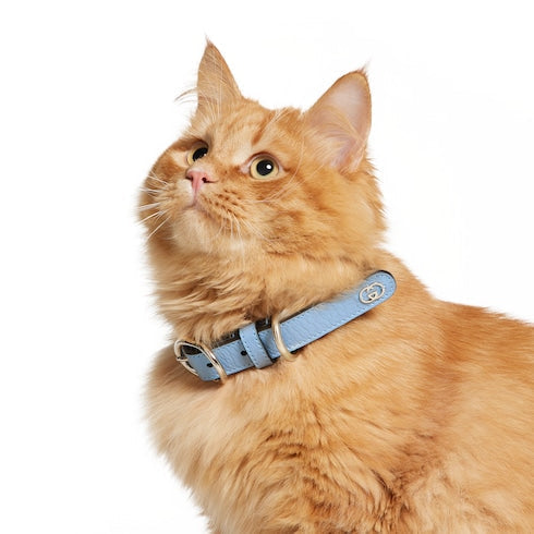 Small/medium collar - light blue fabric