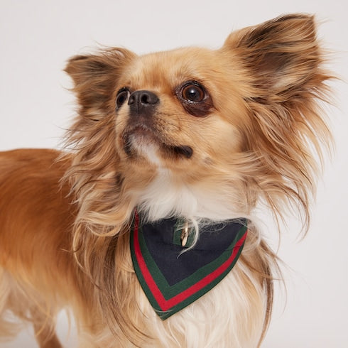 Extra-small pet bandana - dark blue silk