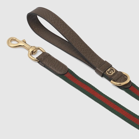 Large Web pet leash - green and red Web canvas
